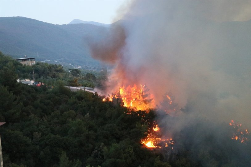 Hatay'da orman yangını - Resim : 2