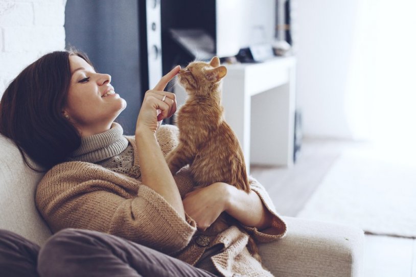 Sevdiklerinizi kedi veya köpek sahiplenmeye nasıl ikna edebilirsiniz