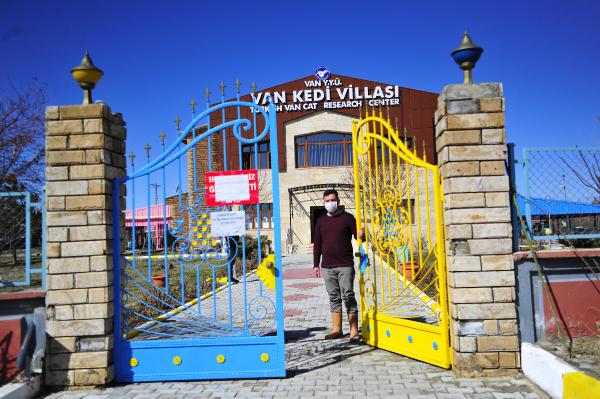 Van Kedi Villası