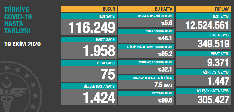 Türkiye'nin son koronavirüs tablosu açıklandı - Resim : 1