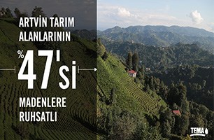 Artvin’de maden talanı - Resim : 1