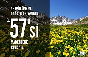 Artvin’de maden talanı - Resim : 2