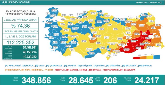 Türkiye'nin son koronavirüs tablosu açıklandı  - Resim : 1