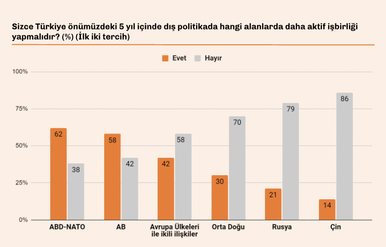 Son anket yayınlandı: AKP'li gençlerin yüzde 63'ü... - Resim : 1